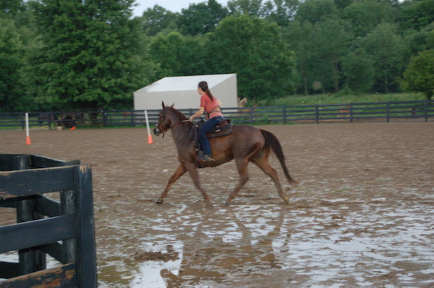 The Joy of Horseback Riding in the Rain