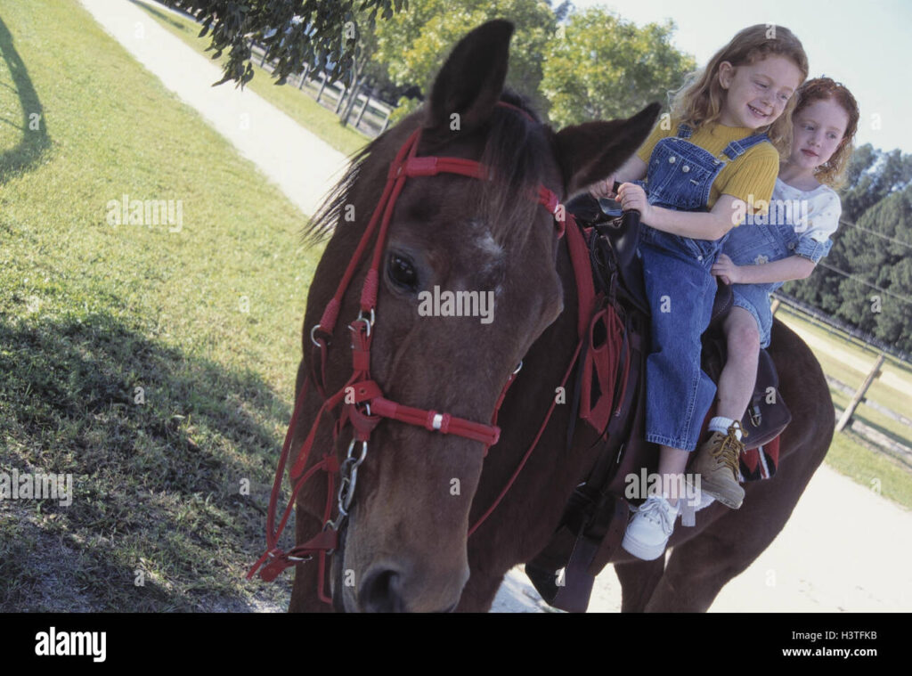 The Joy of Horseback Riding with Friends