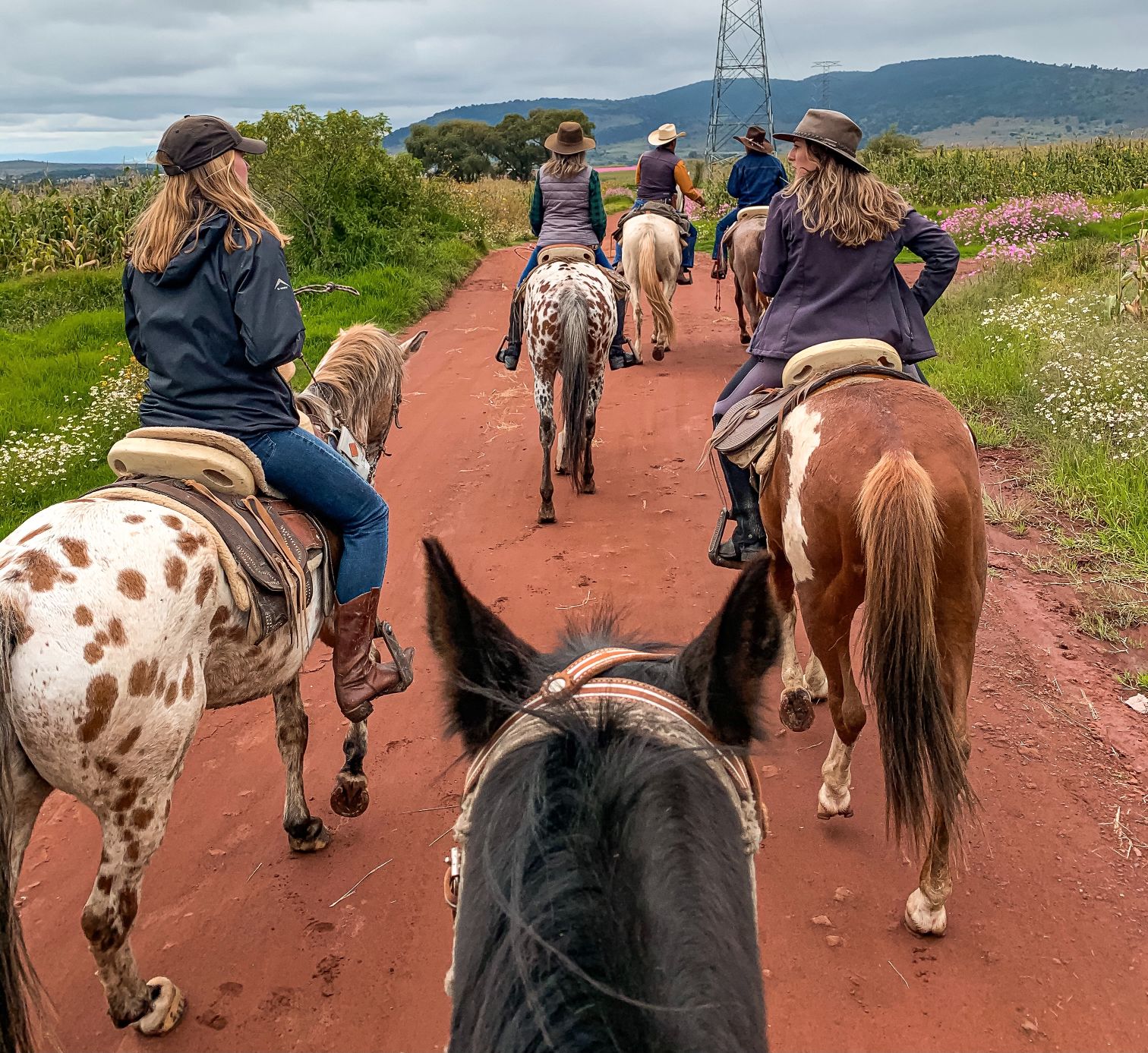 The Joy of Horseback Riding with Friends