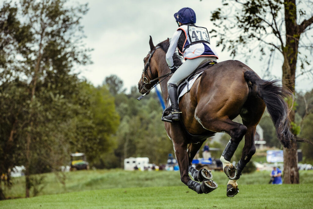 The Role of Nutrition in Horseback Riding