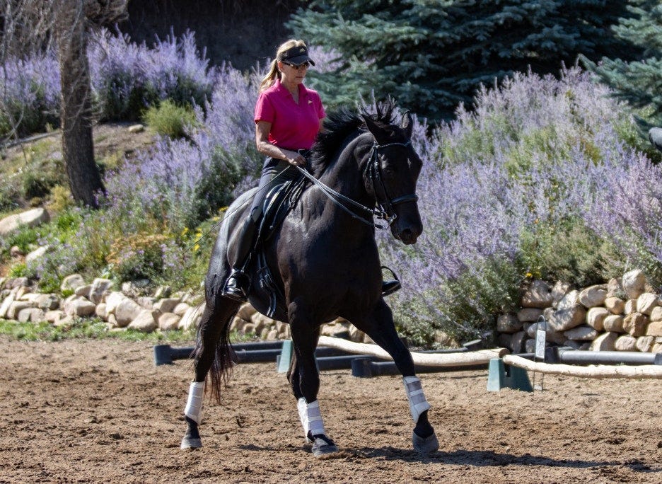 The Role of Patience in Horseback Riding