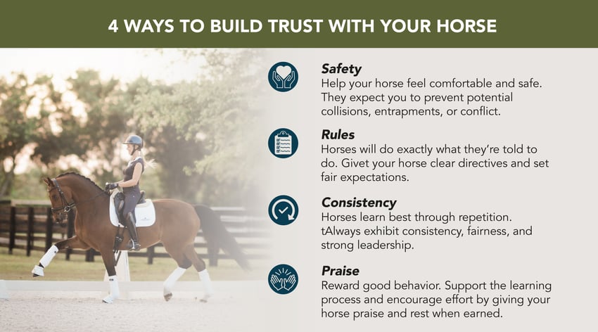 The Role of Trust in Horseback Riding