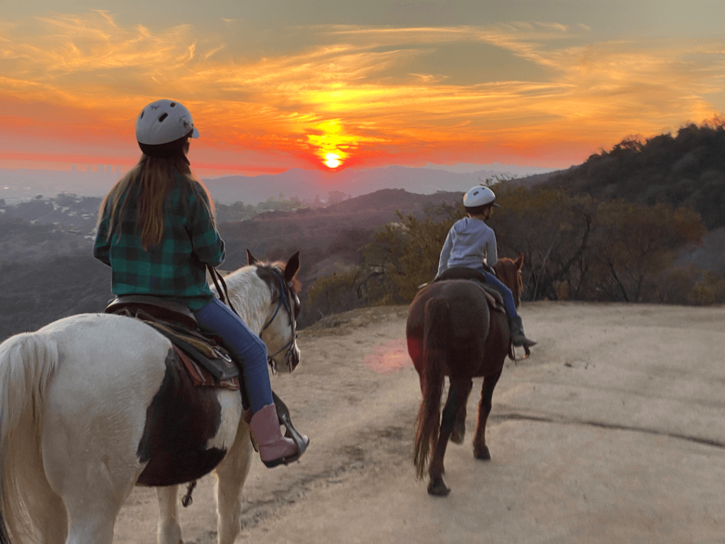 The Thrill of Horseback Riding at Sunset