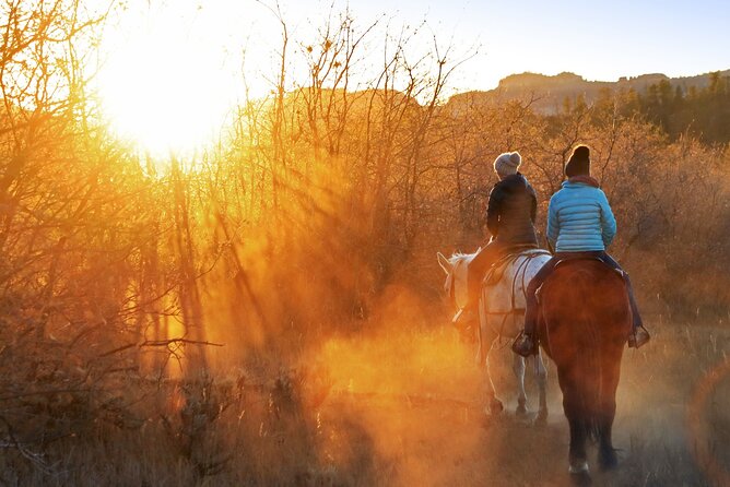 The Thrill of Horseback Riding at Sunset