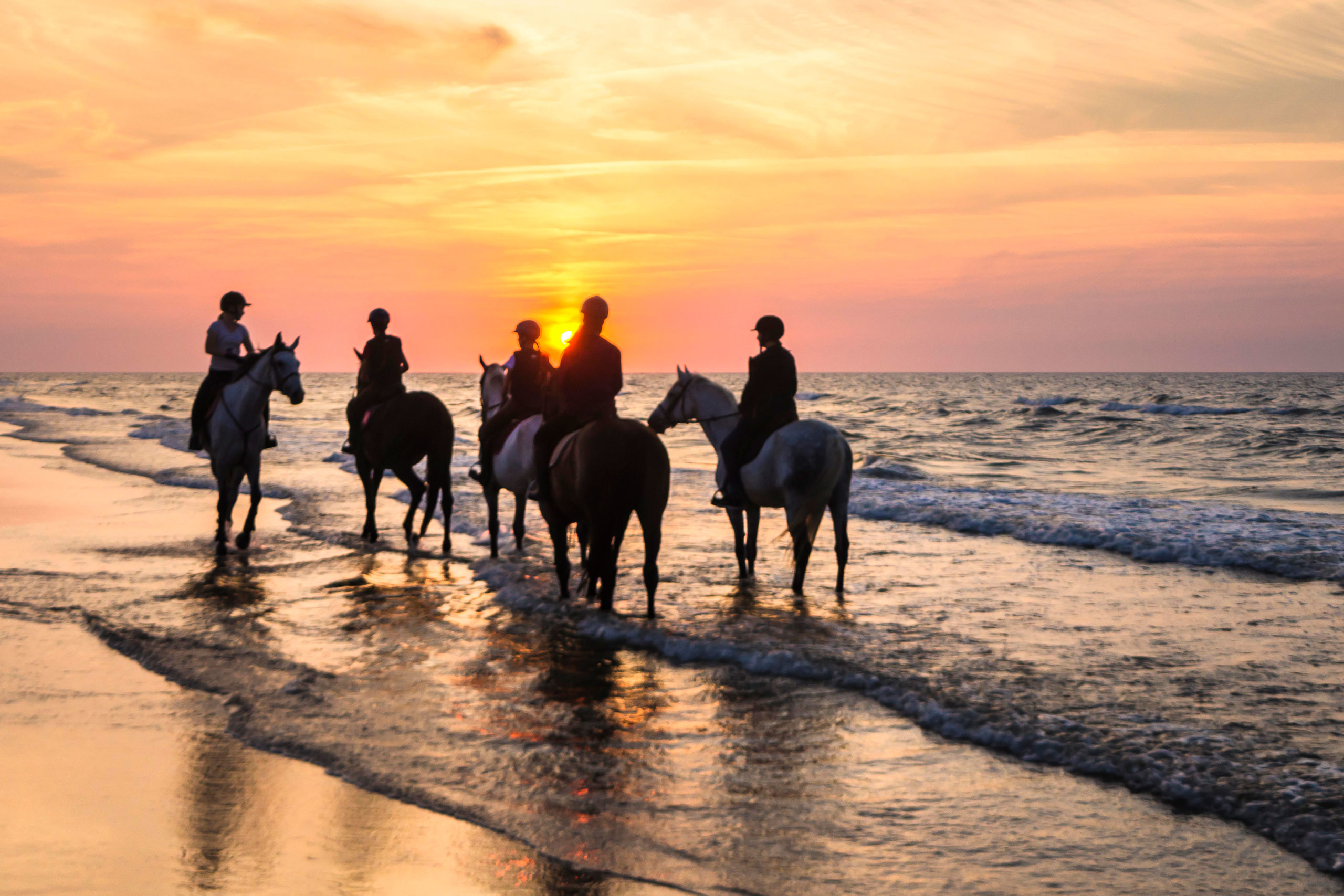 The Thrill of Horseback Riding at Sunset