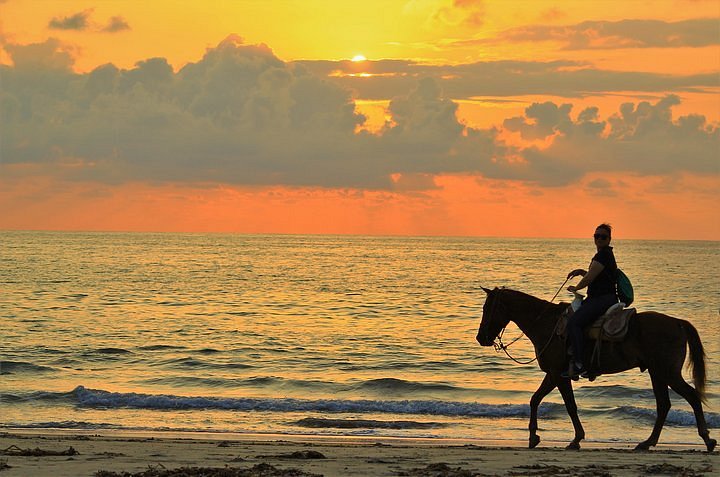 The Thrill of Horseback Riding at Sunset