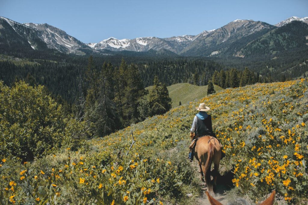 The Thrill of Horseback Riding in the Mountains