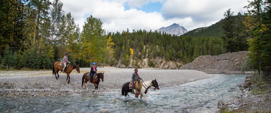 The Thrill of Horseback Riding in the Wild