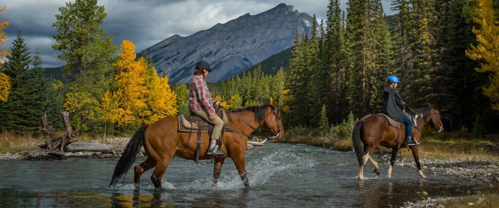 The Thrill of Horseback Riding in the Wild