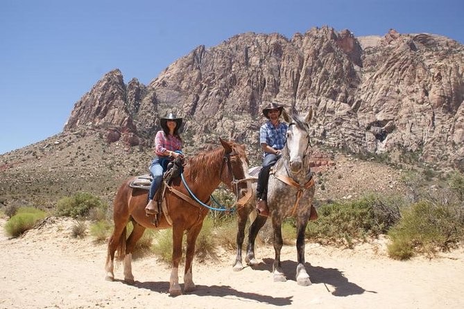 The Thrill of Horseback Riding in the Wild