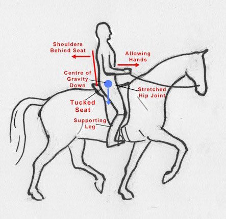 Tips for Proper Horseback Riding Form