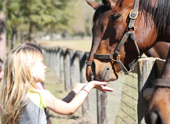 Unleashing Your Inner Child through Horseback Riding