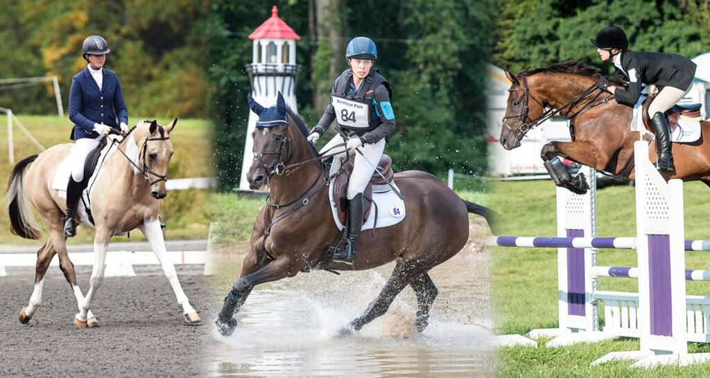 Discovering the World of Competitive Horseback Riding