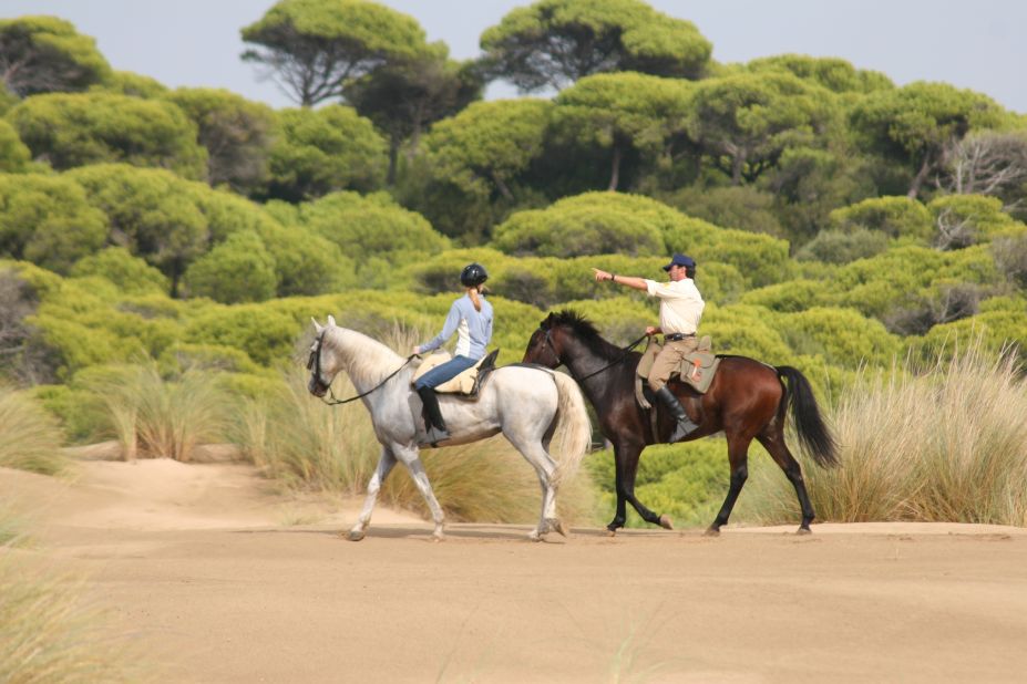 Discovering the World of Competitive Horseback Riding