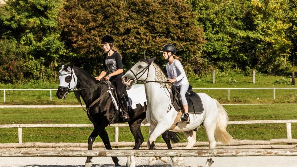 Exploring Different Horseback Riding Academies