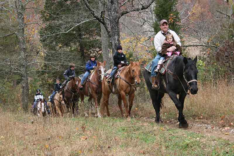 Exploring Different Horseback Riding Academies