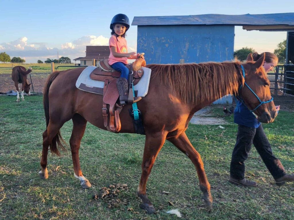 Exploring Different Horseback Riding Competitions for Children