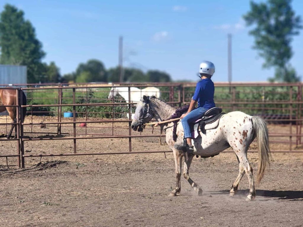 Exploring Different Horseback Riding Competitions for Children