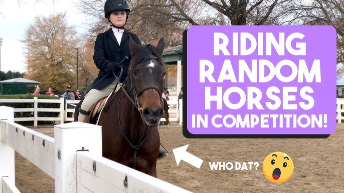 Exploring Different Horseback Riding Competitions for Children