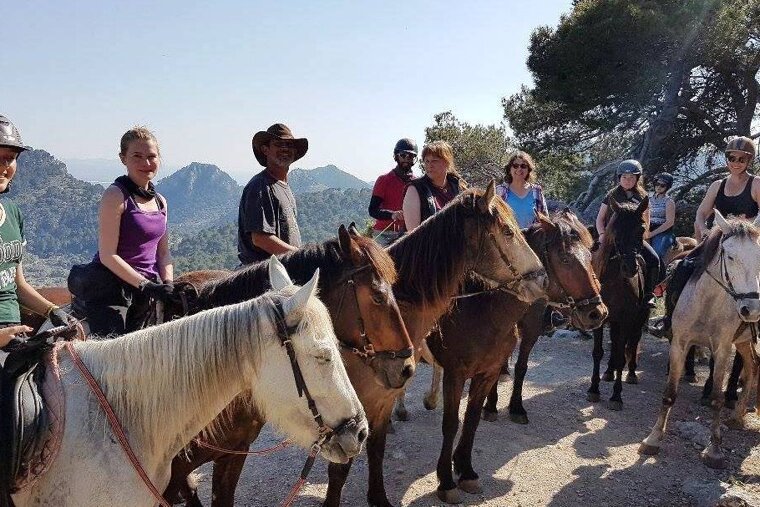 Exploring Different Horseback Riding Retreats