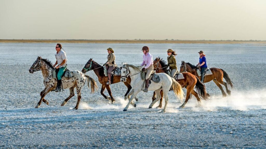 Exploring Different Horseback Riding Retreats