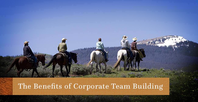 Horseback Riding and its Connection to Corporate Team Building