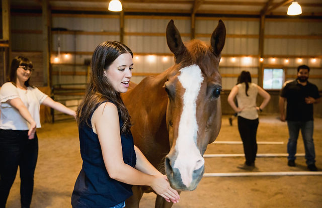 Horseback Riding and its Connection to Corporate Team Building