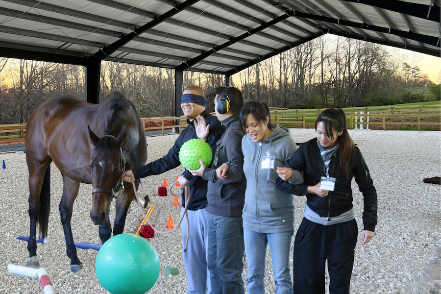 Horseback Riding and its Connection to Corporate Team Building