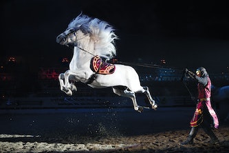 Horseback Riding and its Connection to Medieval Times