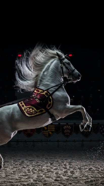 Horseback Riding and its Connection to Medieval Times