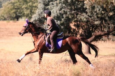 Horseback Riding and its Influence on Perseverance