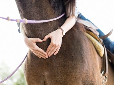 Horseback Riding and its Role in Equine-Assisted Psychotherapy