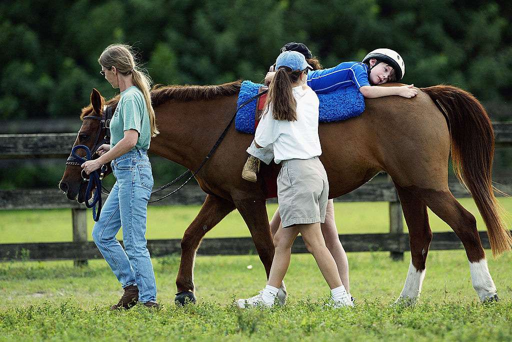 Horseback Riding and its Role in Equine-Assisted Psychotherapy