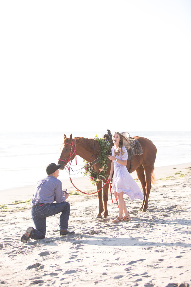 Horseback Riding for Couples: Tips for a Romantic Ride