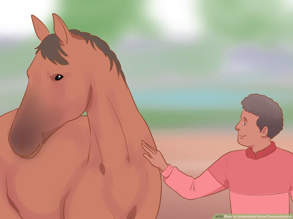 The Art of Communication: Understanding Your Horses Language