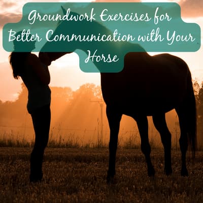 The Art of Horsemanship: Mastering Communication with Your Horse