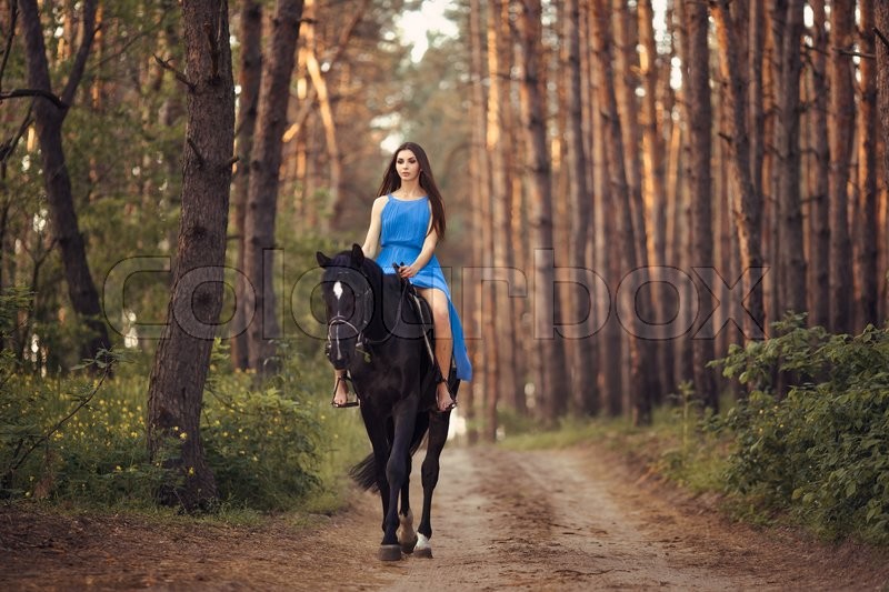 The Beauty of Horseback Riding in the Forest