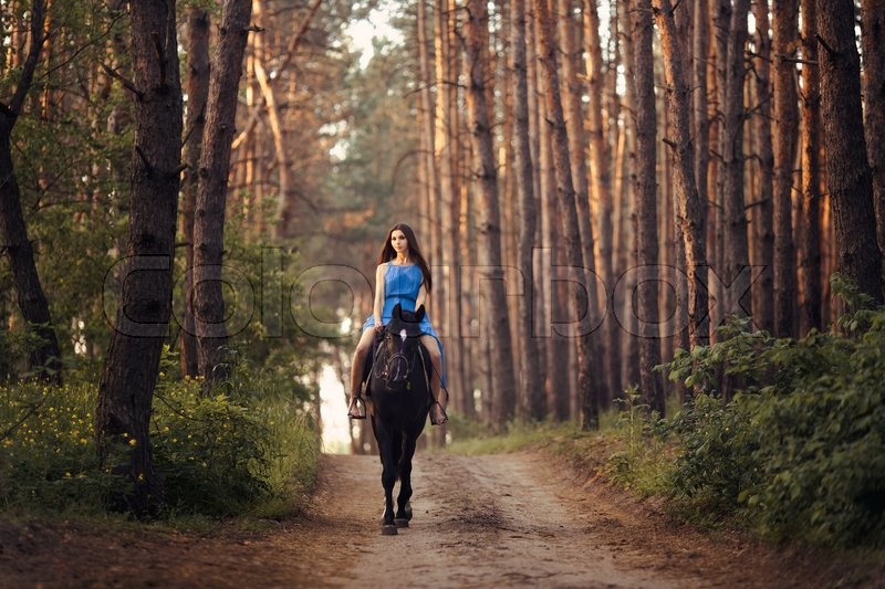 The Beauty of Horseback Riding in the Forest