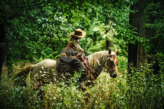 The Beauty of Horseback Riding in the Forest