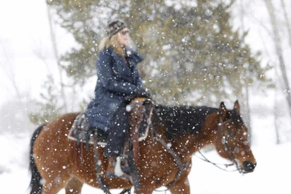 The Beauty of Horseback Riding in the Snow