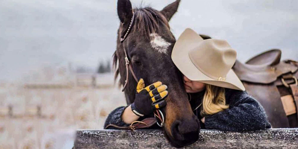 The Bond Between a Rider and their Horse: A Lifelong Connection