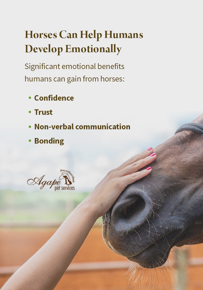 The Connection Between Horseback Riding and Empathy