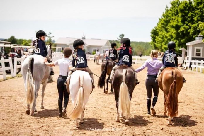 The Connection Between Horseback Riding and Empathy