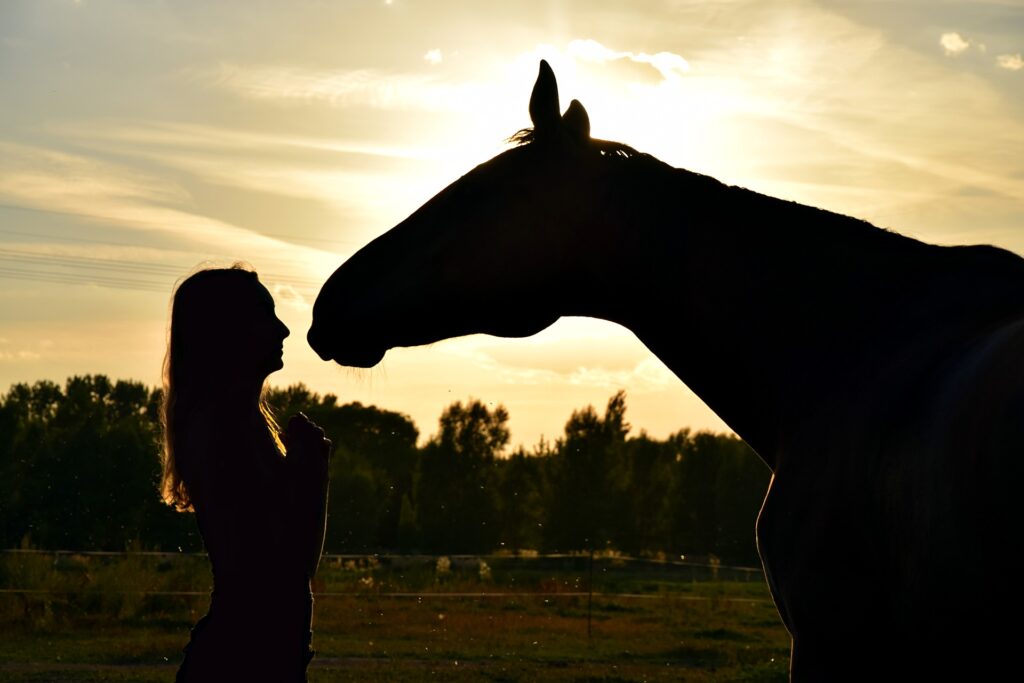 The Connection Between Horseback Riding and Mindfulness