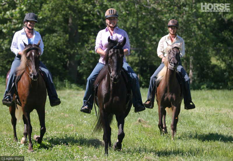 The Connection Between Horseback Riding and Problem-Solving