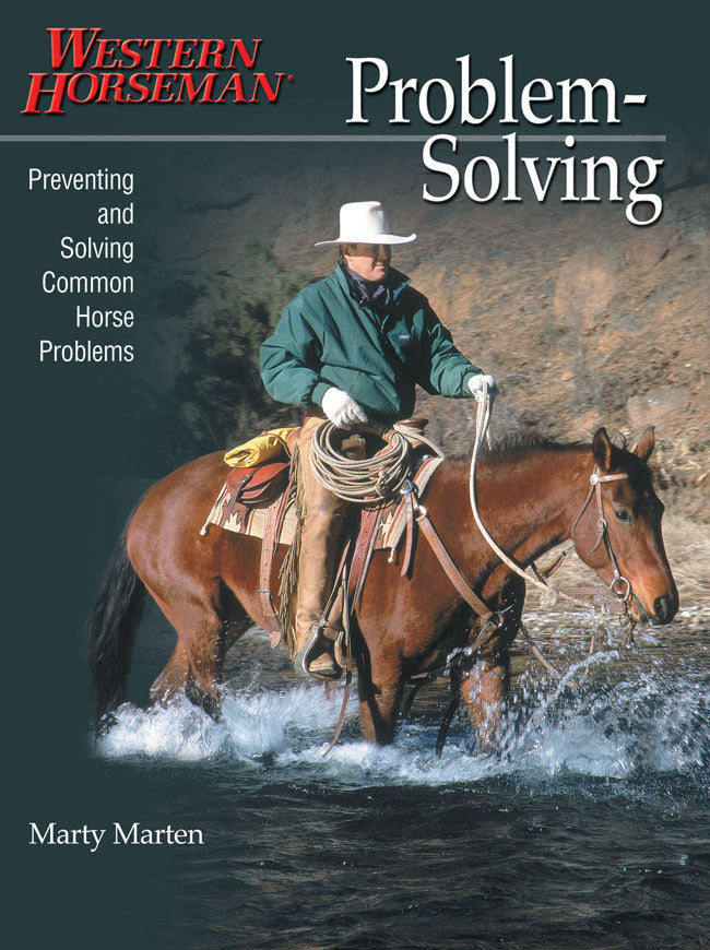 The Connection Between Horseback Riding and Problem-Solving