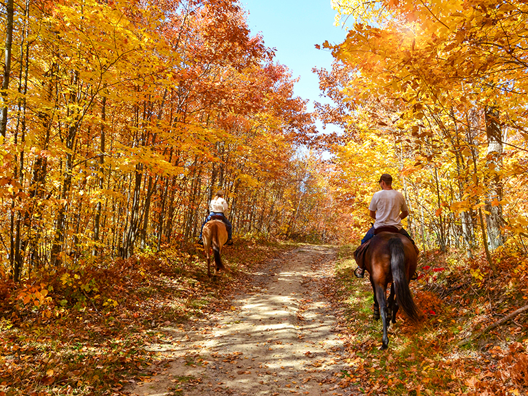 The Joy of Horseback Riding in Autumn