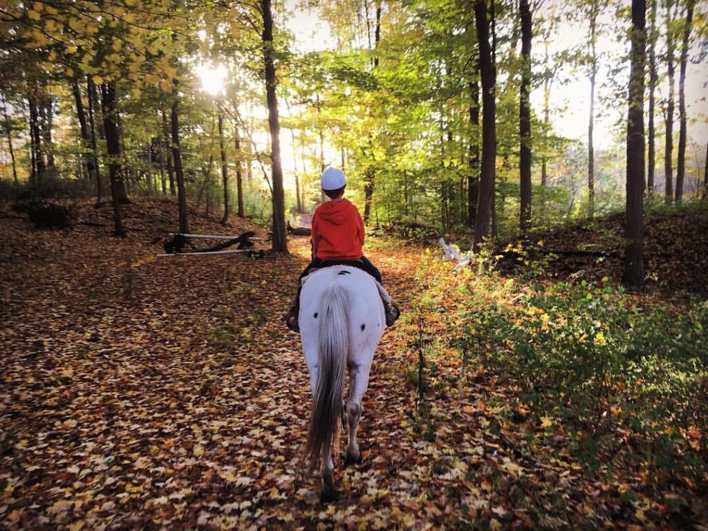 The Joy of Horseback Riding in Autumn