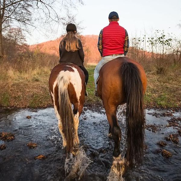 The Joy of Horseback Riding in Autumn