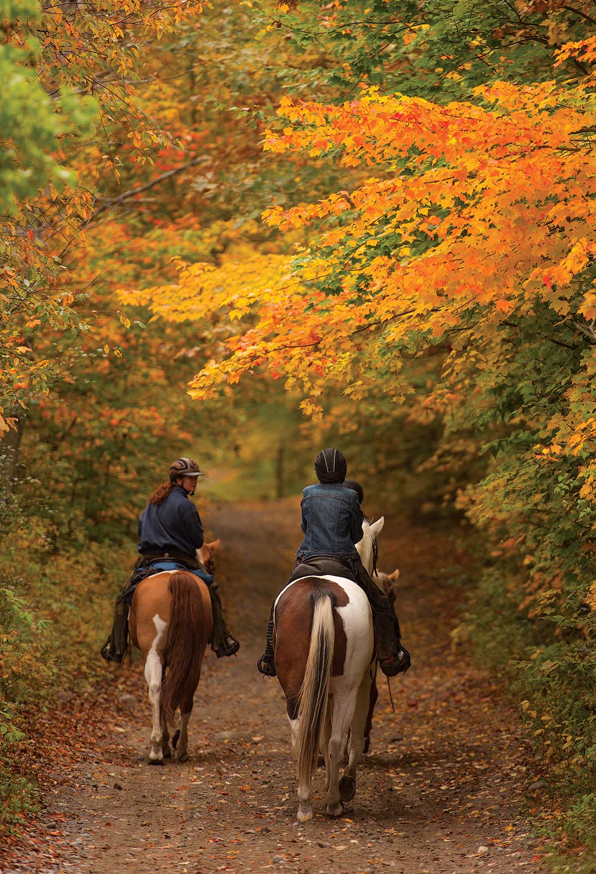 The Joy of Horseback Riding in Autumn